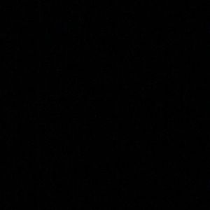 Meet your Posher, Reyna